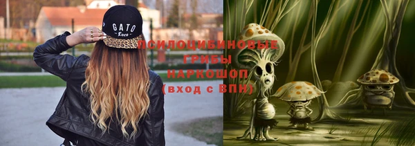 тгк Гусев