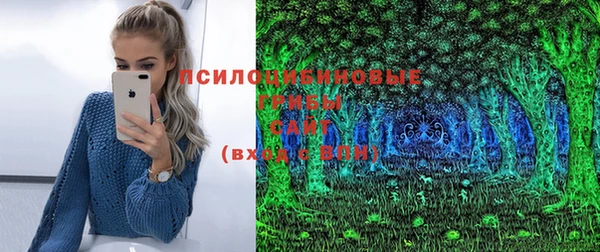 тгк Гусев