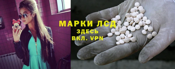 тгк Гусев