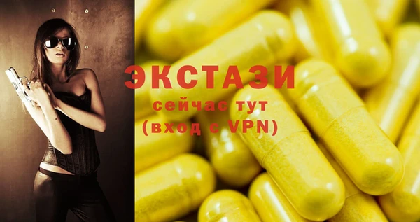 тгк Гусев