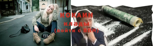 тгк Гусев