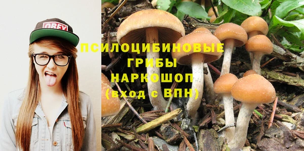 прущие крисы Гусиноозёрск
