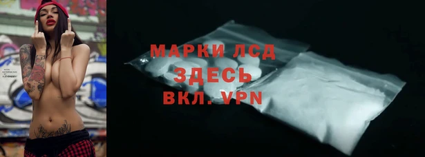 тгк Гусев