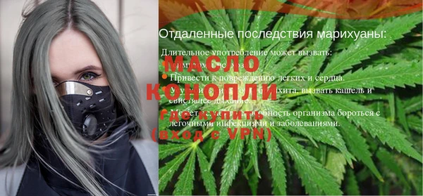тгк Гусев