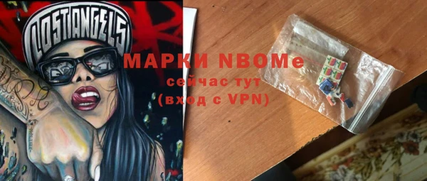 тгк Гусев