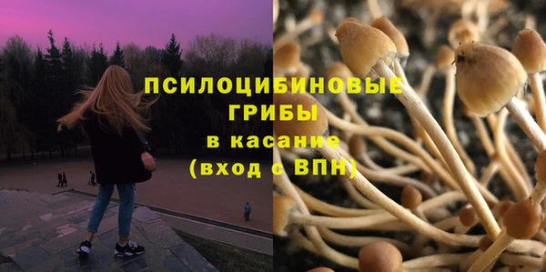 герыч Гусь-Хрустальный