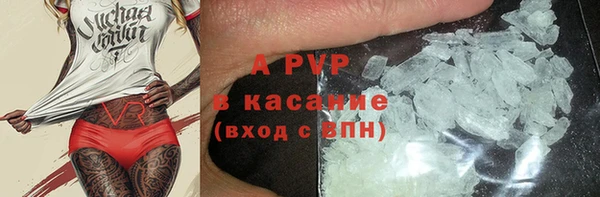 тгк Гусев