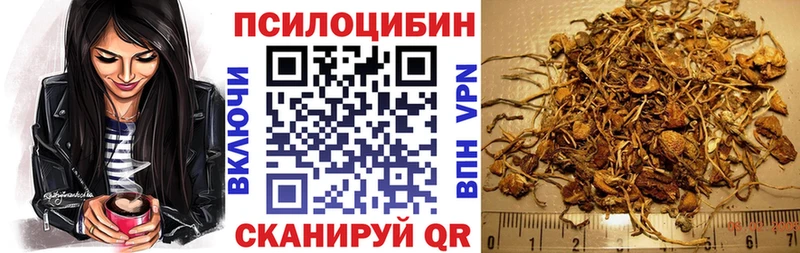 Купить  Валдай  Галлюциногенные грибы прущие грибы 